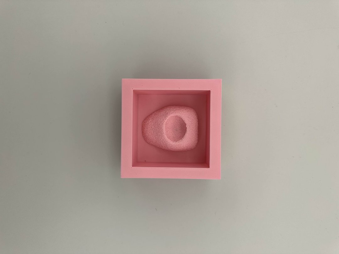 Climbing Holds thumbnail