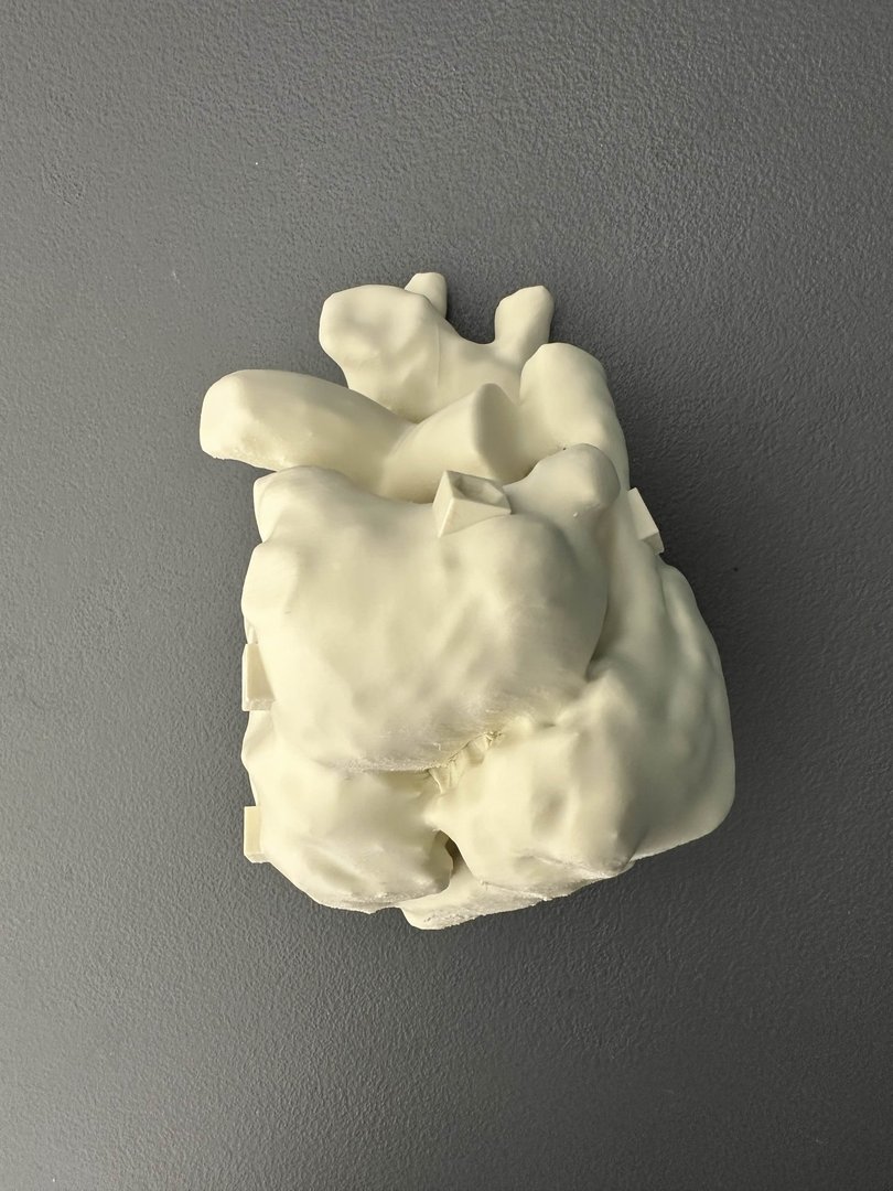 Human Anatomy Model gallery image