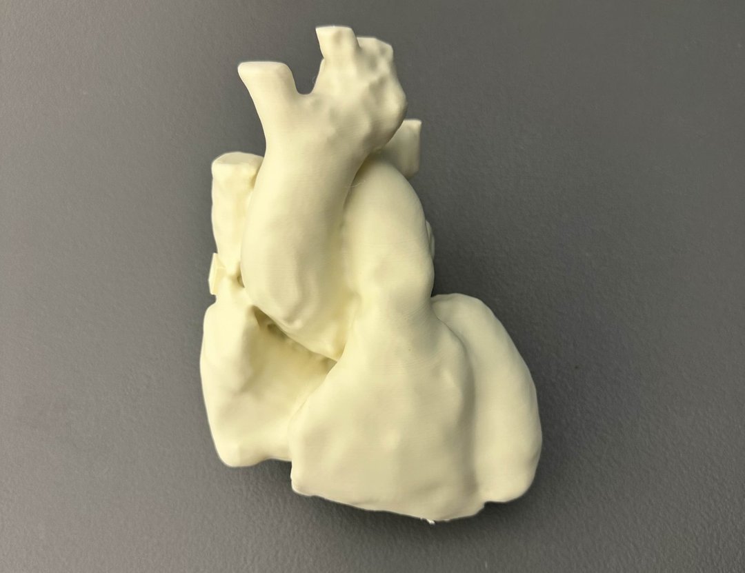 Human Anatomy Model thumbnail