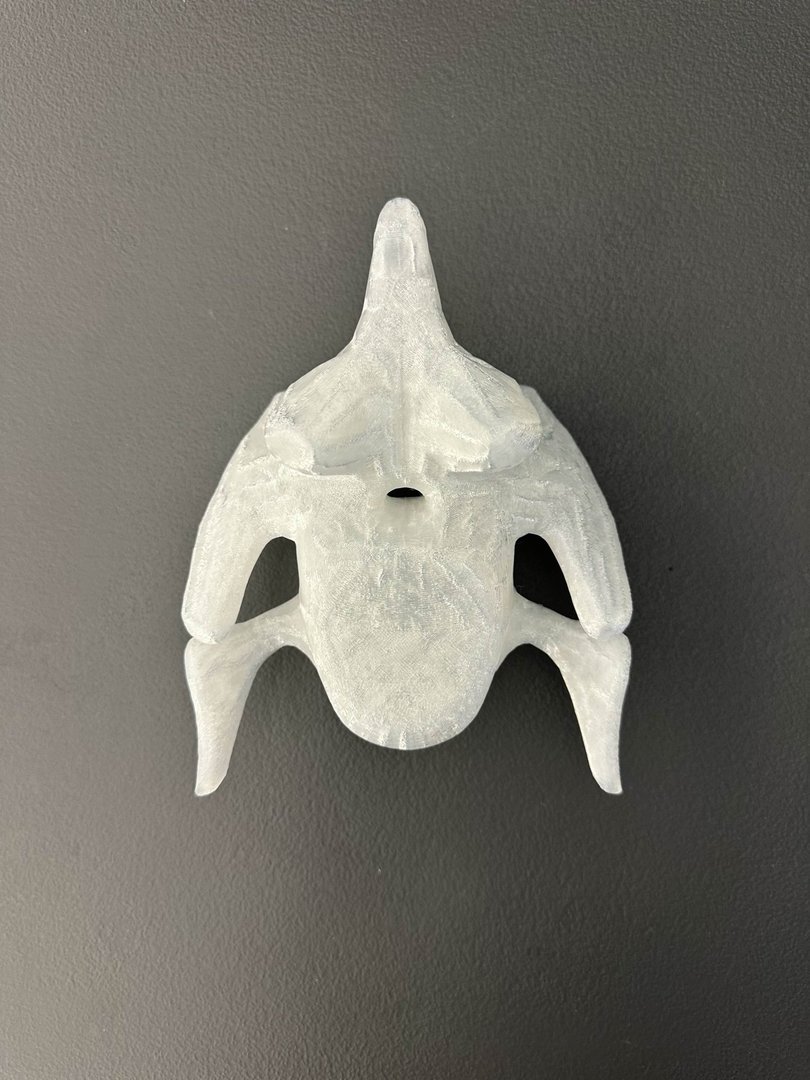 Human Anatomy Model gallery image